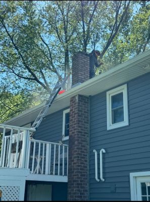 Chimney Repair In New York, NY (4)